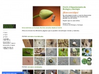Biogeorecursos.weebly.com