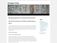 bebloggerablogs.com