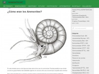 Ammonites.net