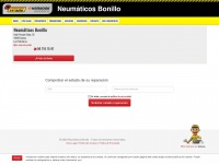 neumaticosbonillo.com
