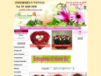florenlinea.com Thumbnail