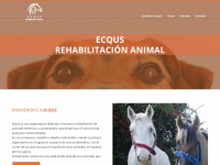Ecqus.org