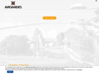 Avioandes.com
