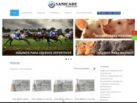 sanicabe.com.ar Thumbnail