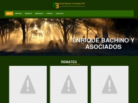 Enriquebachinoyasociados.com.uy