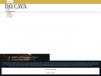Cavaacademy.com