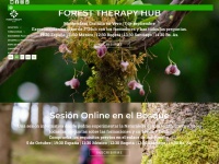 Foresttherapyhub.com