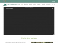 camposdesanaa.com