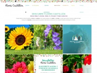 Florescastillon.com