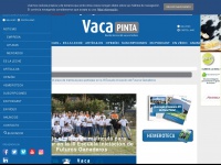 vacapinta.com