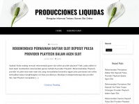 Produccionesliquidas.com