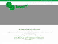 Levelupceo.com