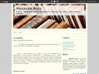 alexandreanizy.com