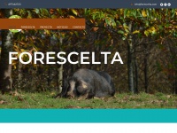Forescelta.com