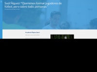 Academianiguez.com