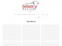 Beefmastermexico.com