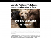 Labradorretrieverweb.com