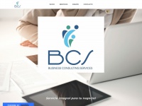 Bcs-consulting.net