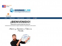 aseguranzafl.com