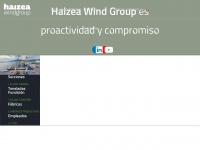 Haizeawindgroup.com