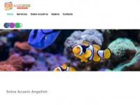 Acuarioangelfish.com