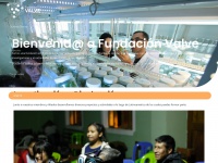 Fundacionvalve.org