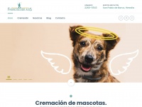 Cremaciondemascotasfranciscodeasis.com