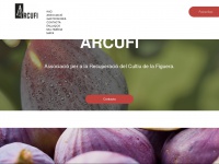 Arcufi.com