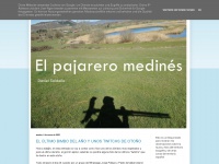 Elpajareromedines.blogspot.com