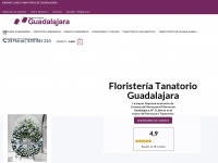 floristeriatanatorioguadalajara.com Thumbnail