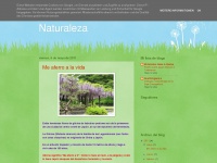 naturemistery.blogspot.com