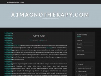 a1magnotherapy.com