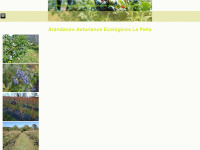Arandanosecologicos.com