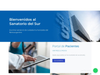 Sanatoriodelsur.com.ar