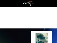 Cedepstore.cl