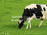 Holstein.com.mx