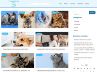 Perrosygatos.top