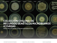 Cchrgm.cl