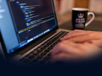 Toprogrammer.net