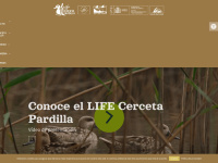 Cerceta-pardilla.es