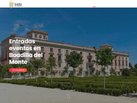 Entradasboadilla.es