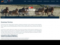 caccm.com.ar Thumbnail