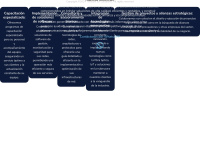 telecomisp.solutions Thumbnail