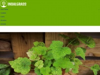 indalgrass.es Thumbnail