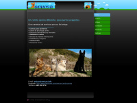 Amican.info