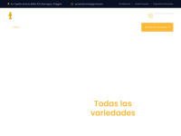 pvcsantamarta.com