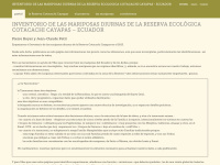 Cotacachi.eu