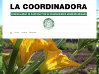 Lacoordinadora.org
