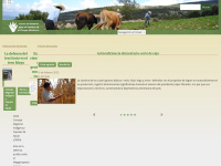 Ceccam.org