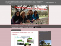 Emprendedorasdelospedroches.blogspot.com